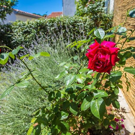 Apartment Rosse Πόρετς Εξωτερικό φωτογραφία